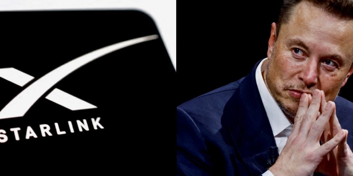 Илон Маск и его спутник. Фото: news18.com