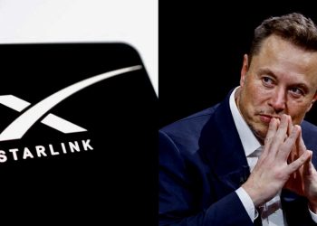 Илон Маск и его спутник. Фото: news18.com