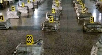 Армения под наркоударом: рекордный рост наркотрафика и «зангезурский коридор»