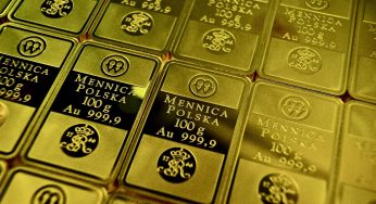 Министр финансов Польши раскритиковал план продажи золотых резервов для армии