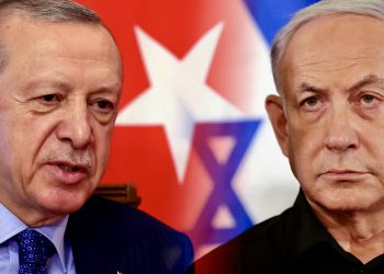 Иллюстрация: