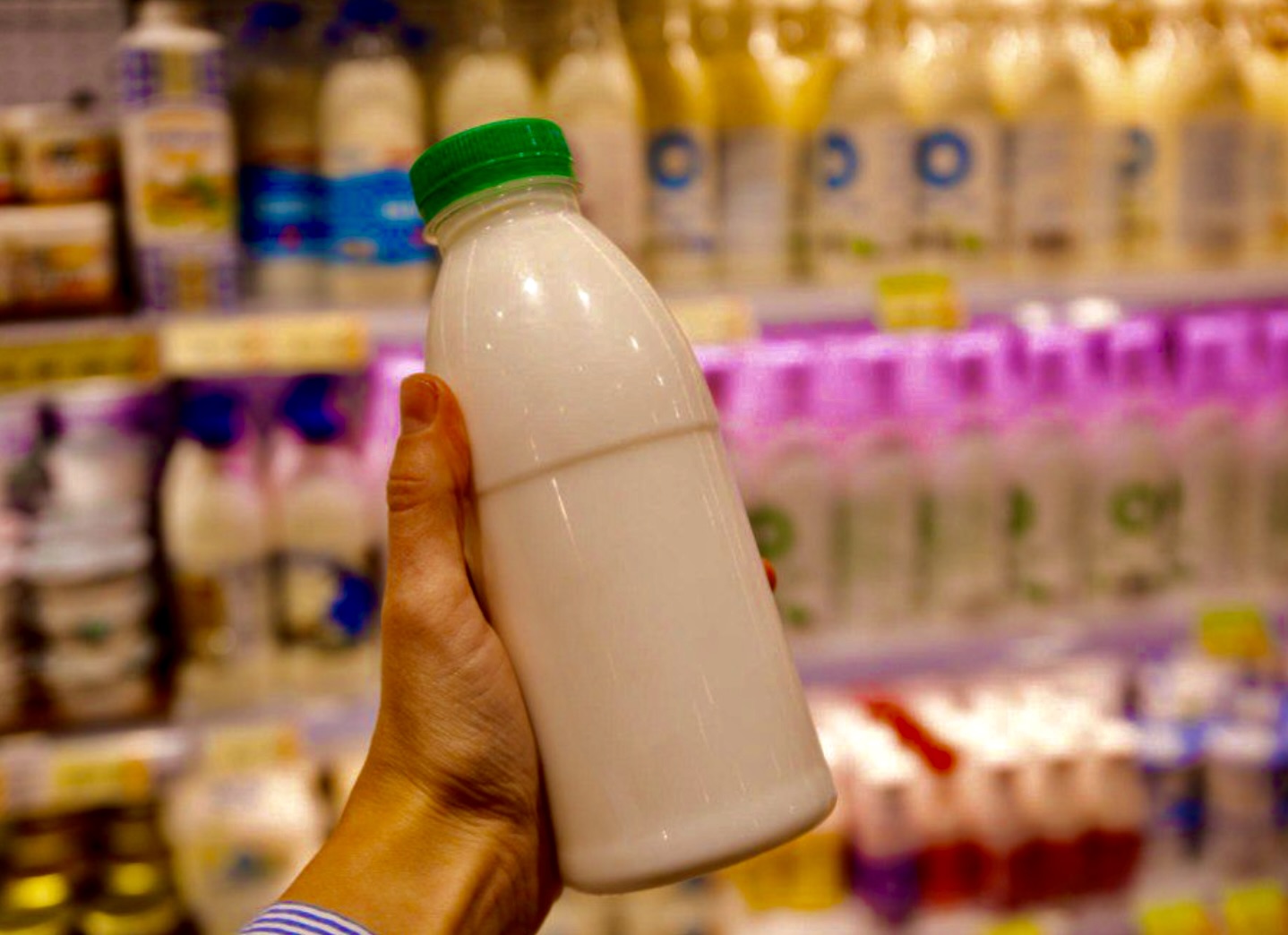 Россия с 27 июля ограничивает ввоз молочной продукции из Армении