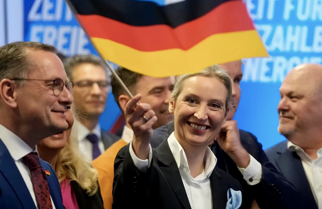 Писториус и Оздемир требуют запрета «народнического» крыла AfD