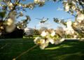 США сокращают штат посольств на Ближнем Востоке на фоне войны с Ираном
