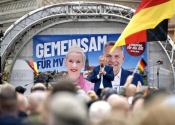 AfD побеждает, но остаётся одна