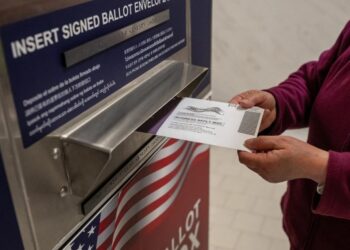 Промежуточные выборы в США: хаос вокруг почтового голосования