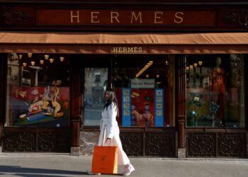 Наследник Hermès заявляет о пропаже акций на $10 млрд