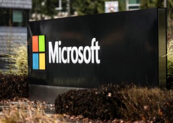 США заморозили грин-карты для Microsoft и IT-компаний